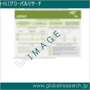 グローバルリサーチ調査レポートのイメージ
